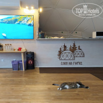 фото из отзыва ID 2316927