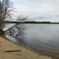 фото из отзыва ID 2316927