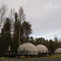 фото из отзыва ID 2316927