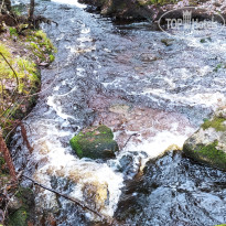 фото из отзыва ID 2316927