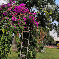 фото из отзыва ID 2316828