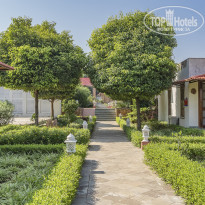 фото из отзыва ID 2317046