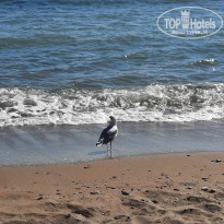 фото из отзыва ID 2317071