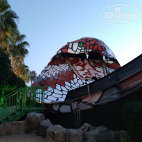 фото из отзыва ID 2317128