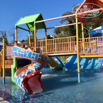 фото из отзыва ID 2317242