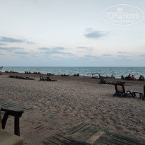 фото из отзыва ID 2317243