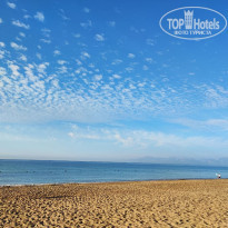 фото из отзыва ID 2317243