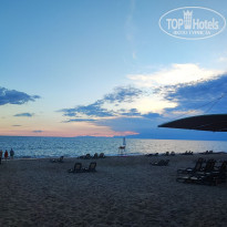 фото из отзыва ID 2317243