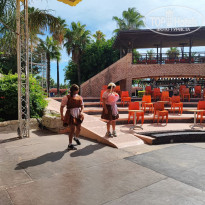 фото из отзыва ID 2317243