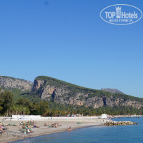 фото из отзыва ID 2317303