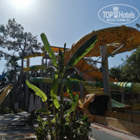 фото из отзыва ID 2317303