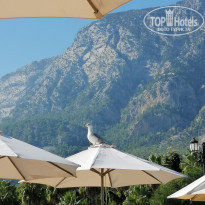 фото из отзыва ID 2317303