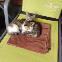 фото из отзыва ID 2317326