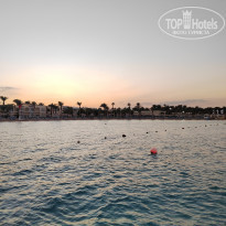 фото из отзыва ID 2317343