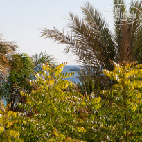 фото из отзыва ID 2317434