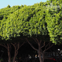 фото из отзыва ID 2317451