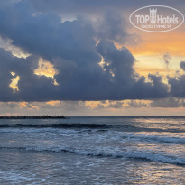 фото из отзыва ID 2317467