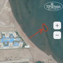 фото из отзыва ID 2317509