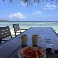 фото из отзыва ID 2317546