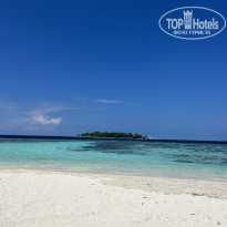 фото из отзыва ID 2317546