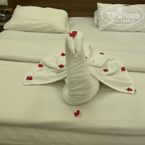 фото из отзыва ID 2317657