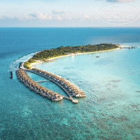 фото из отзыва ID 2317672