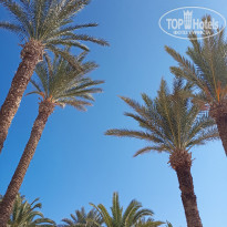 фото из отзыва ID 2316940