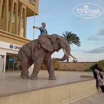 фото из отзыва ID 2316940