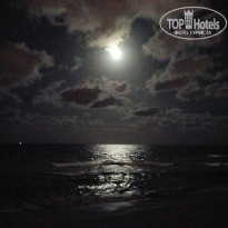 фото из отзыва ID 2316940