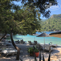 фото из отзыва ID 2317808