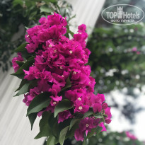 фото из отзыва ID 2317901
