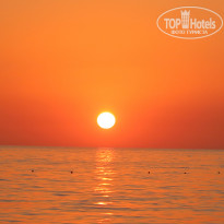 фото из отзыва ID 2316536