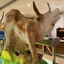 фото из отзыва ID 2317943