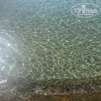 фото из отзыва ID 2317994