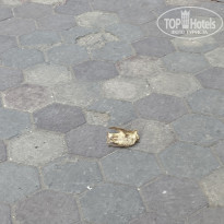 фото из отзыва ID 2317994