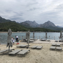 фото из отзыва ID 2318202