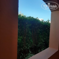 фото из отзыва ID 2318222