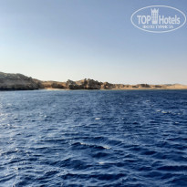 фото из отзыва ID 2318222