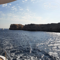 фото из отзыва ID 2318222