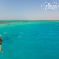 фото из отзыва ID 2318222