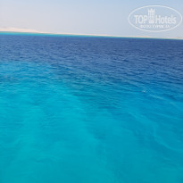 фото из отзыва ID 2318222