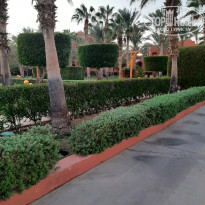 фото из отзыва ID 2318222