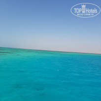 фото из отзыва ID 2318222