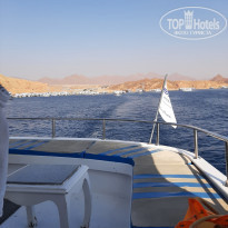 фото из отзыва ID 2318222