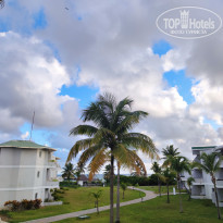 фото из отзыва ID 2318318