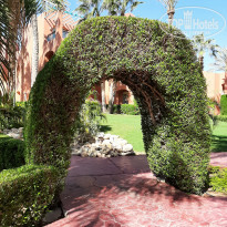 фото из отзыва ID 2318222