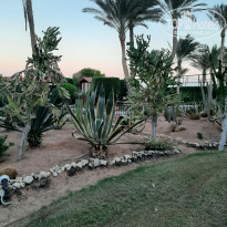 фото из отзыва ID 2318222