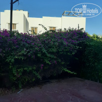 фото из отзыва ID 2318222