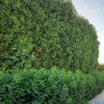 фото из отзыва ID 2318222