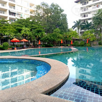 фото из отзыва ID 2318434